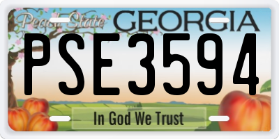 GA license plate PSE3594