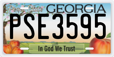 GA license plate PSE3595
