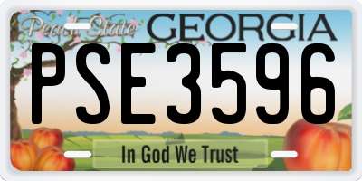 GA license plate PSE3596