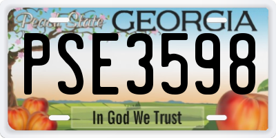 GA license plate PSE3598