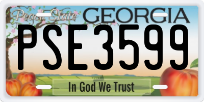 GA license plate PSE3599