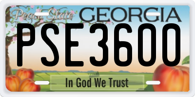 GA license plate PSE3600