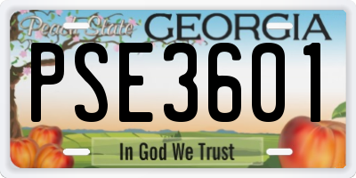 GA license plate PSE3601