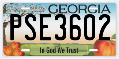 GA license plate PSE3602