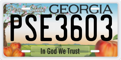 GA license plate PSE3603