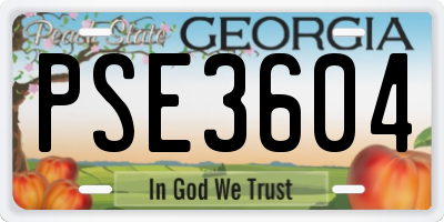 GA license plate PSE3604