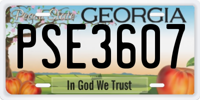GA license plate PSE3607