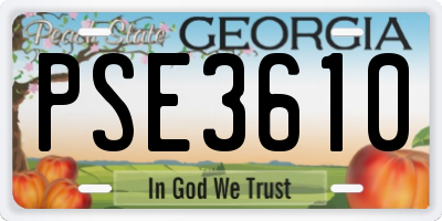 GA license plate PSE3610