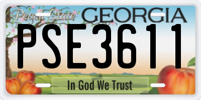 GA license plate PSE3611