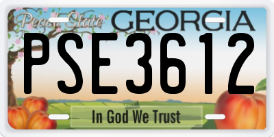 GA license plate PSE3612