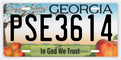 GA license plate PSE3614