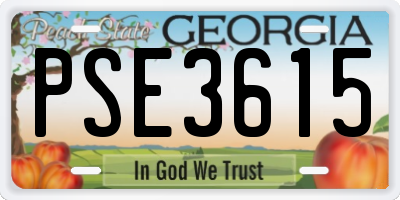 GA license plate PSE3615