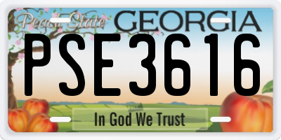 GA license plate PSE3616