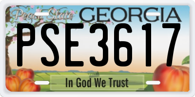 GA license plate PSE3617