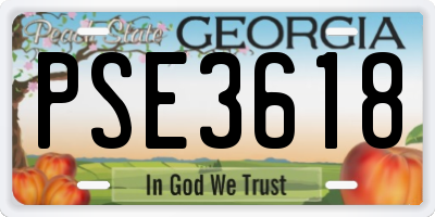 GA license plate PSE3618