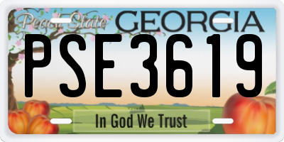 GA license plate PSE3619
