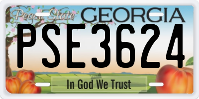 GA license plate PSE3624