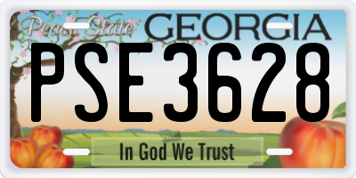 GA license plate PSE3628