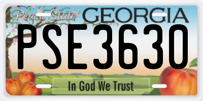 GA license plate PSE3630