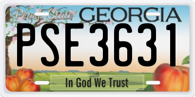 GA license plate PSE3631