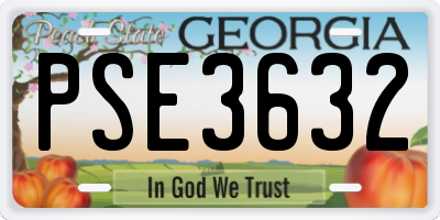 GA license plate PSE3632