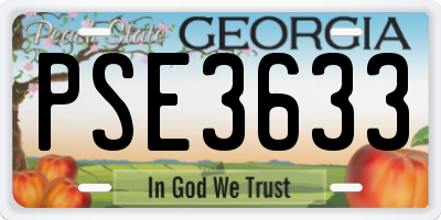 GA license plate PSE3633