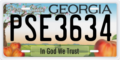 GA license plate PSE3634