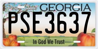GA license plate PSE3637