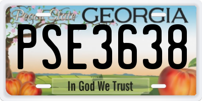 GA license plate PSE3638