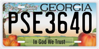 GA license plate PSE3640
