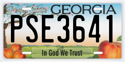 GA license plate PSE3641