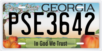 GA license plate PSE3642