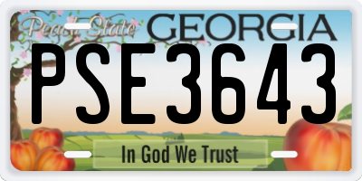GA license plate PSE3643