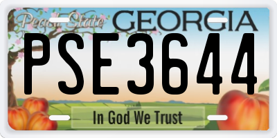 GA license plate PSE3644