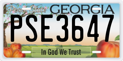 GA license plate PSE3647