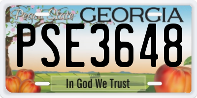 GA license plate PSE3648