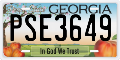 GA license plate PSE3649
