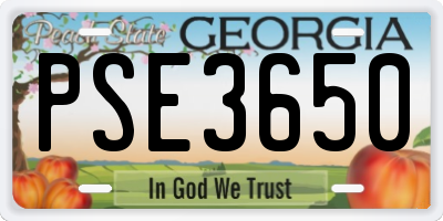 GA license plate PSE3650