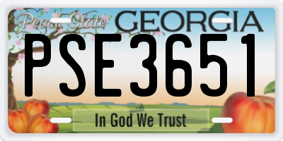 GA license plate PSE3651