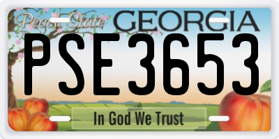 GA license plate PSE3653