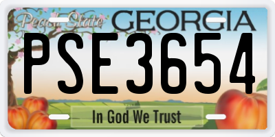 GA license plate PSE3654