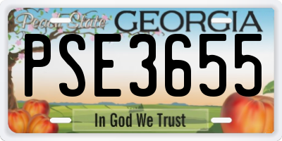 GA license plate PSE3655