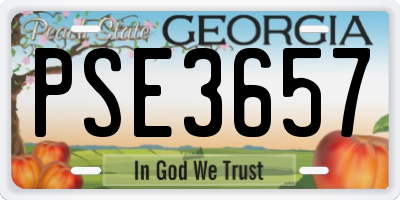 GA license plate PSE3657