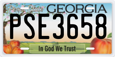 GA license plate PSE3658