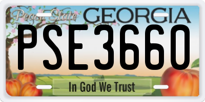 GA license plate PSE3660