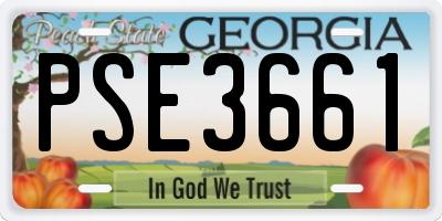GA license plate PSE3661