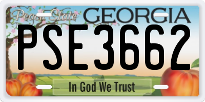 GA license plate PSE3662