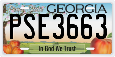 GA license plate PSE3663