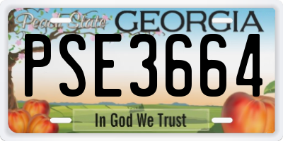 GA license plate PSE3664