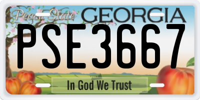 GA license plate PSE3667